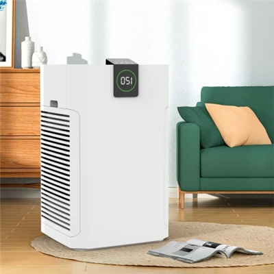 BKJ-80Um purificador de ar limpo com eficiência de ar limpo