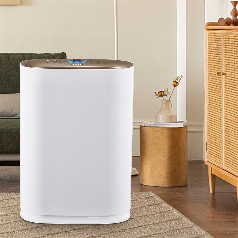 BKJ-300 Room Air Fresh Air Purifier